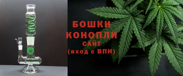 дурь Вяземский