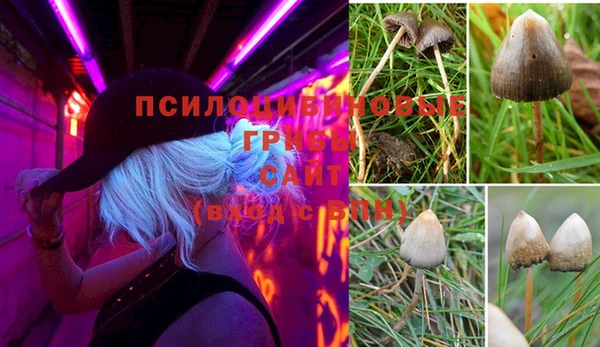 дурь Вяземский