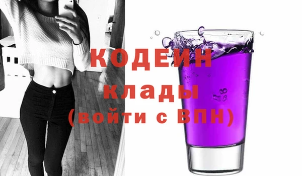 дурь Вяземский