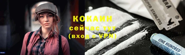 дурь Вяземский