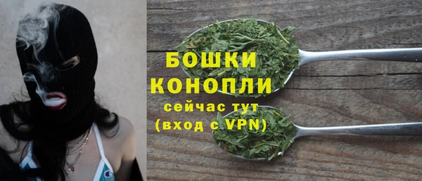 дурь Вяземский