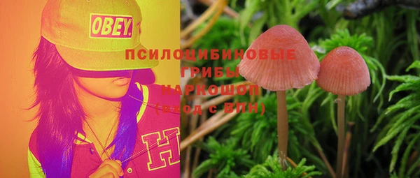 дурь Вяземский