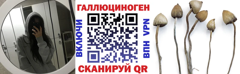 mega ссылки Городовиковск Галлюциногенные грибы MAGIC MUSHROOMS
